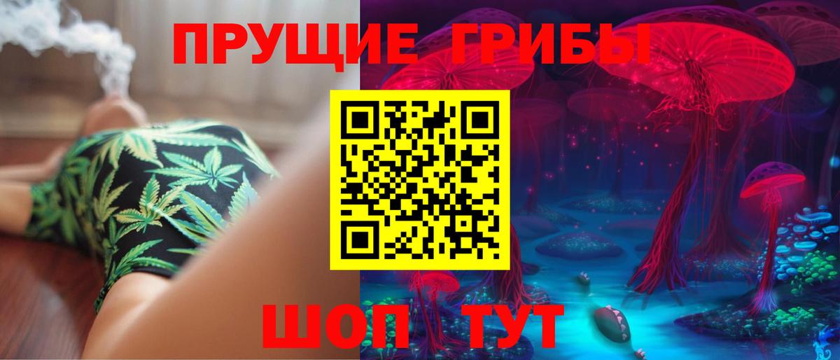 Майкоп  Псилоцибиновые грибы прущие грибы  Псилоцибиновые грибы Psilocybine cubensis  Вход с VPN 