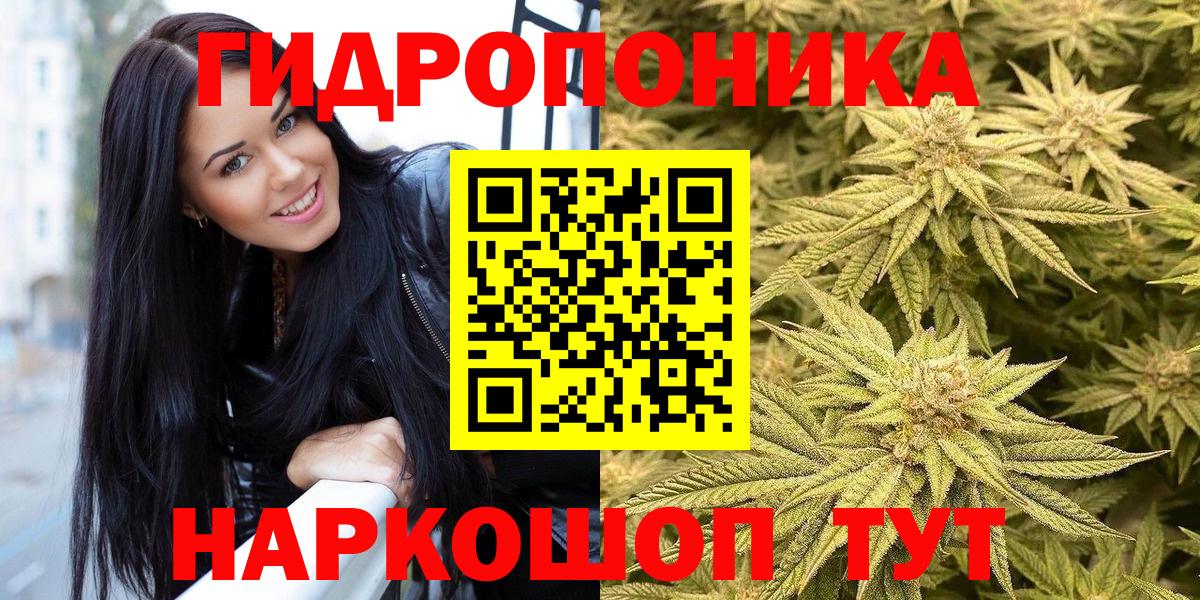 Каннабис сатива  Канабис OG Kush  Майкоп  Шишки марихуана семена  Вход с VPN 